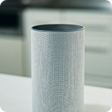 A home voice assistant.